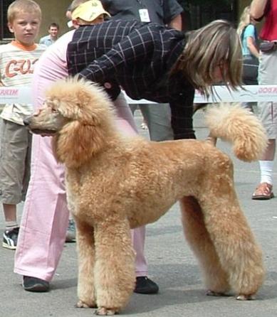 handling (79).jpg